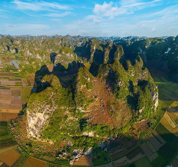 Mục tiêu