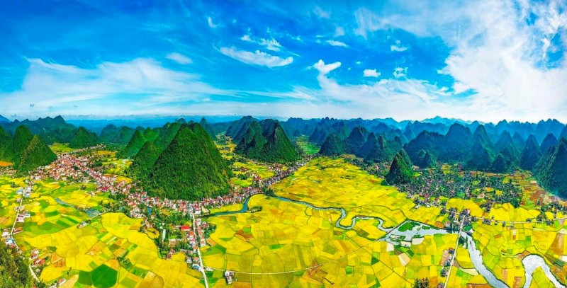 Họp trực tuyến với Công ty Immersive Imagery by Lindemann và Công ty GHC Consulting & Advisory