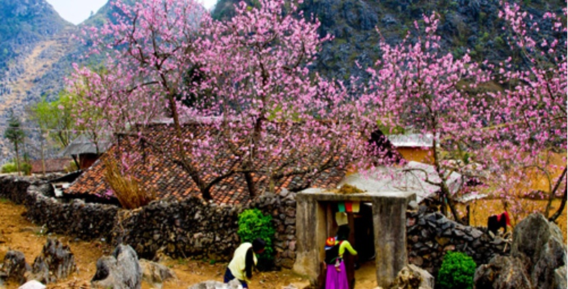 Du lịch Hà Giang tăng trưởng mạnh sau 10 năm Công viên địa chất toàn cầu UNESCO Cao nguyên đá Đồng Văn được thế giới công nhận