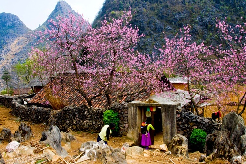 Du lịch Hà Giang tăng trưởng mạnh sau 10 năm Công viên địa chất toàn cầu UNESCO Cao nguyên đá Đồng Văn được thế giới công nhận