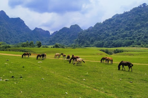 NOTIFICATION  Scientific workshop on solutions to preserve and promote the of intangible cultural heritages associated with sustainable tourism development in Lang Son Geopark