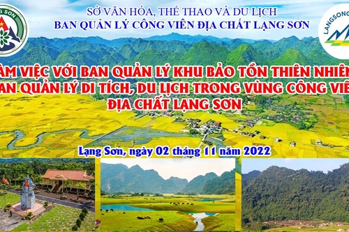 Họp trực tuyến với Ban Quản lý Khu bảo tồn thiên nhiên, Ban Quản lý Di tích, Du lịch trong vùng Công viên địa chất Lạng Sơn