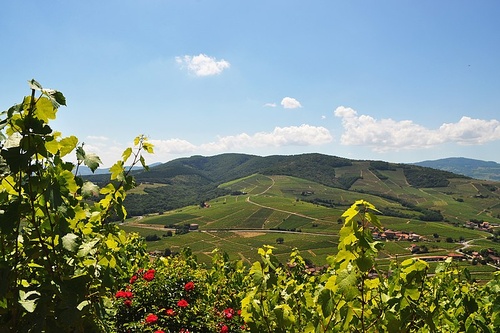 Công viên địa chất toàn cầu UNESCO BEAUJOLAIS