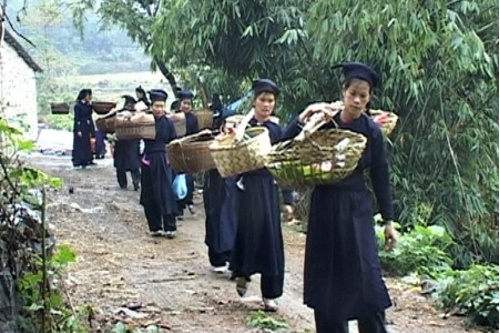 Lễ cưới của người Tày