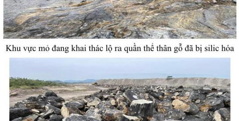 Bể trầm tích Na Dương “Một cánh cửa đặc biệt để nhìn vào các hệ sinh thái Eocene từ Đông Nam Á”