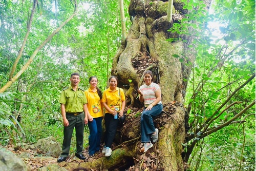 Survey and Research for Design and Perspective Renovation Plans of Some Tourist Sites in Lang Son Geopark Area