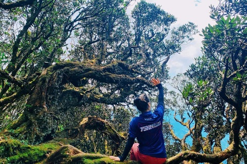 Hình thành các Con đường mòn địa chất (Geotrail) - Hướng đi mới cho Du lịch Công viên địa chất Toàn cầu UNESCO Lạng Sơn