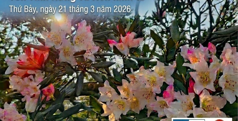 Ngày Quốc tế về Rừng và Ngày Nước Thế giới năm 2026