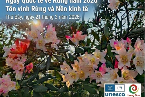 Ngày Quốc tế về Rừng và Ngày Nước Thế giới năm 2026