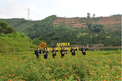  Star Anise Rest Stop (AFOREX) (Nhan Ly commune) - Strategic Parter of Lang Son UNESCO Global Geopark 