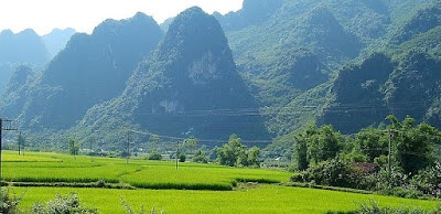 HTX sản xuất, kinh doanh dịch vụ nông, lâm nghiệp xã Cai Kinh